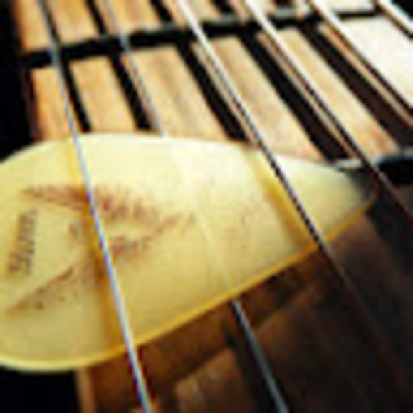 Meet your Posher, Steve - Picture 1 of 1